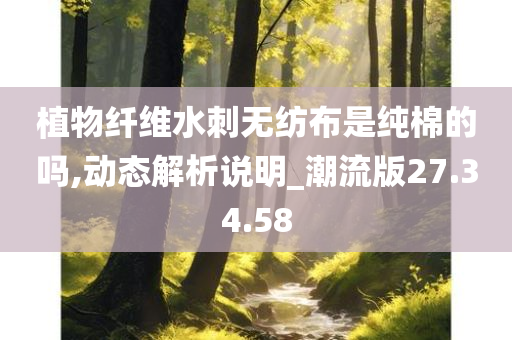 植物纤维水刺无纺布是纯棉的吗,动态解析说明_潮流版27.34.58