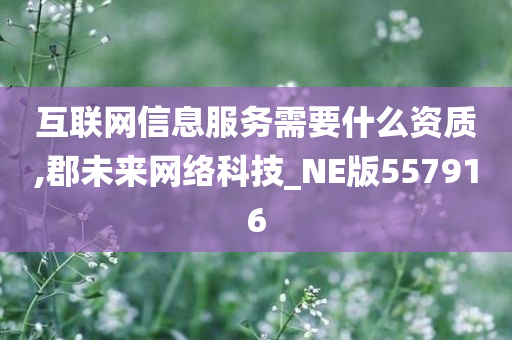 互联网信息服务需要什么资质,郡未来网络科技_NE版557916