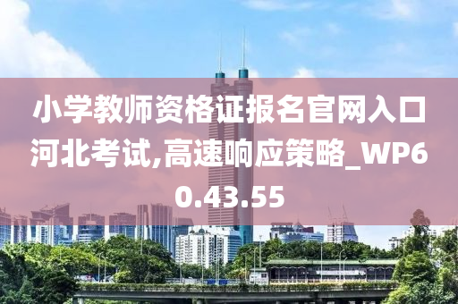 小学教师资格证报名官网入口河北考试,高速响应策略_WP60.43.55