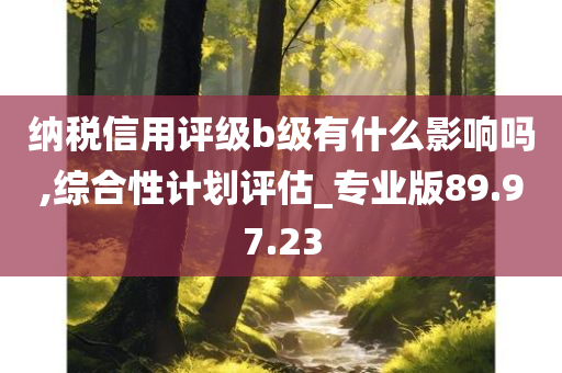 纳税信用评级b级有什么影响吗,综合性计划评估_专业版89.97.23