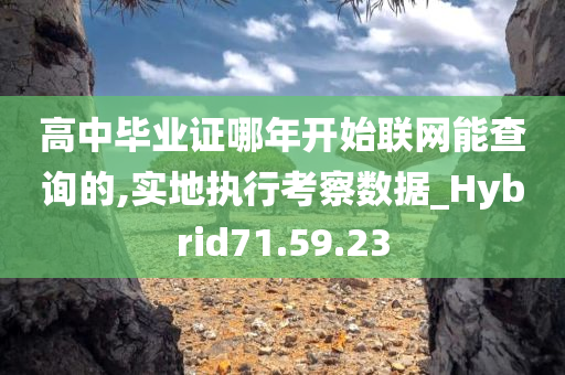 高中毕业证哪年开始联网能查询的,实地执行考察数据_Hybrid71.59.23