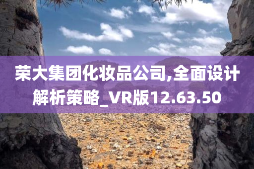 荣大集团化妆品公司,全面设计解析策略_VR版12.63.50