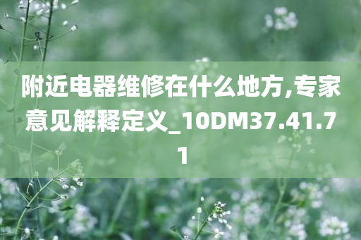 附近电器维修在什么地方,专家意见解释定义_10DM37.41.71