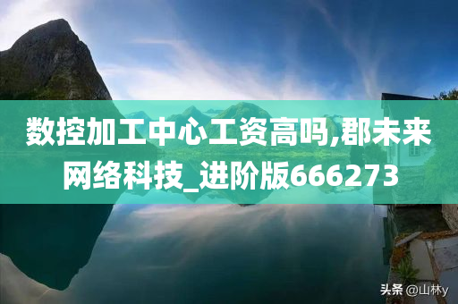 数控加工中心工资高吗,郡未来网络科技_进阶版666273