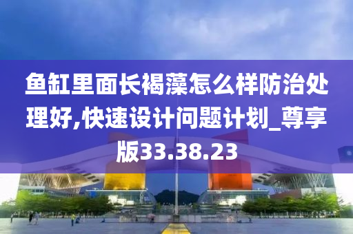 鱼缸里面长褐藻怎么样防治处理好,快速设计问题计划_尊享版33.38.23