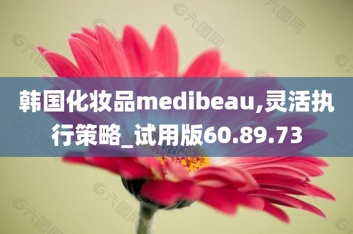 韩国化妆品medibeau,灵活执行策略_试用版60.89.73