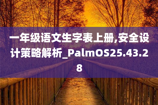 一年级语文生字表上册,安全设计策略解析_PalmOS25.43.28