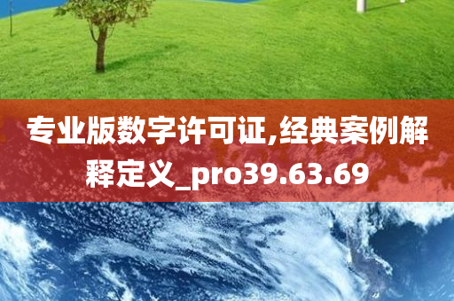 专业版数字许可证,经典案例解释定义_pro39.63.69