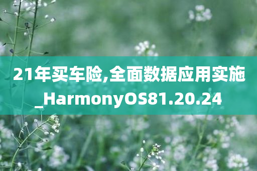 21年买车险,全面数据应用实施_HarmonyOS81.20.24