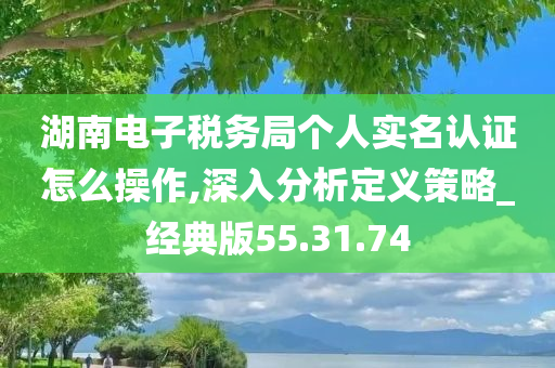 湖南电子税务局个人实名认证怎么操作,深入分析定义策略_经典版55.31.74