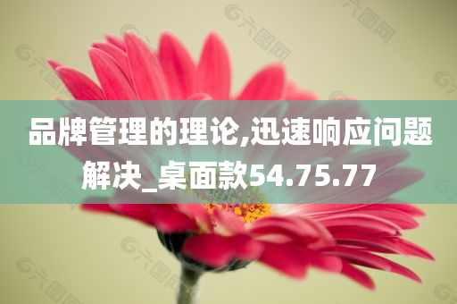 品牌管理的理论,迅速响应问题解决_桌面款54.75.77