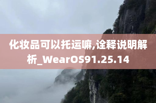 化妆品可以托运嘛,诠释说明解析_WearOS91.25.14