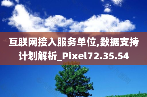 互联网接入服务单位,数据支持计划解析_Pixel72.35.54