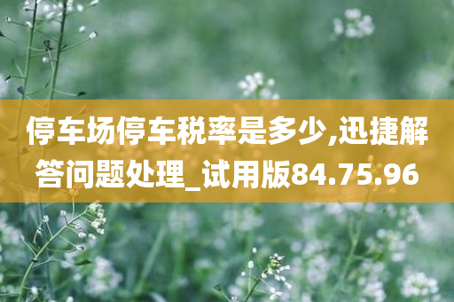 停车场停车税率是多少,迅捷解答问题处理_试用版84.75.96