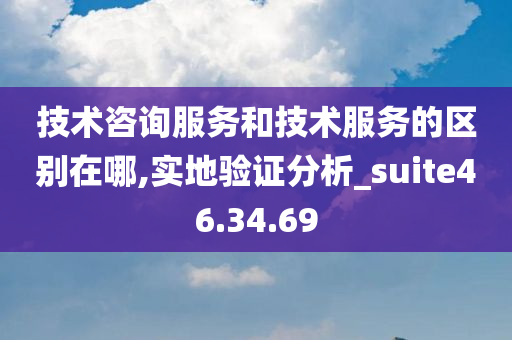 技术咨询服务和技术服务的区别在哪,实地验证分析_suite46.34.69