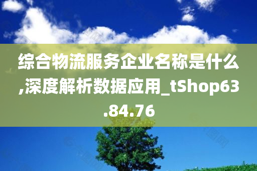 综合物流服务企业名称是什么,深度解析数据应用_tShop63.84.76