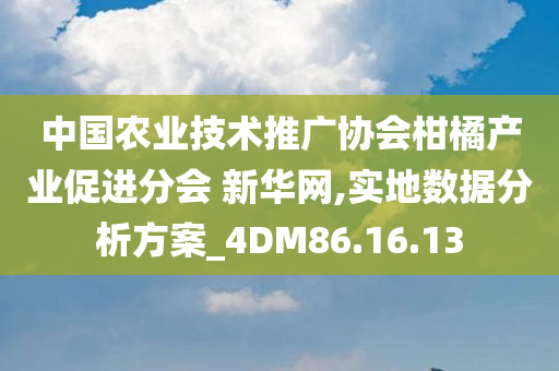 中国农业技术推广协会柑橘产业促进分会 新华网,实地数据分析方案_4DM86.16.13