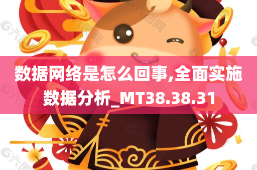 数据网络是怎么回事,全面实施数据分析_MT38.38.31