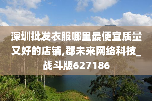 深圳批发衣服哪里最便宜质量又好的店铺,郡未来网络科技_战斗版627186