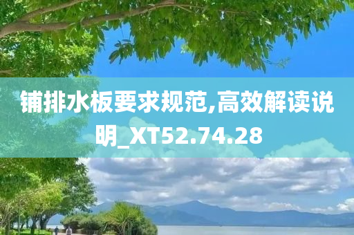 铺排水板要求规范,高效解读说明_XT52.74.28