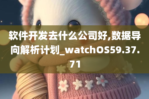 软件开发去什么公司好,数据导向解析计划_watchOS59.37.71