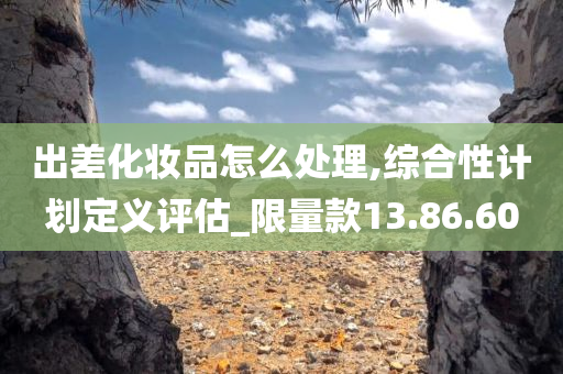 出差化妆品怎么处理,综合性计划定义评估_限量款13.86.60