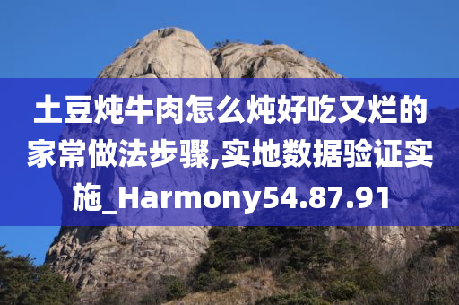 土豆炖牛肉怎么炖好吃又烂的家常做法步骤,实地数据验证实施_Harmony54.87.91