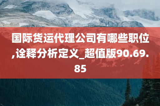 国际货运代理公司有哪些职位,诠释分析定义_超值版90.69.85