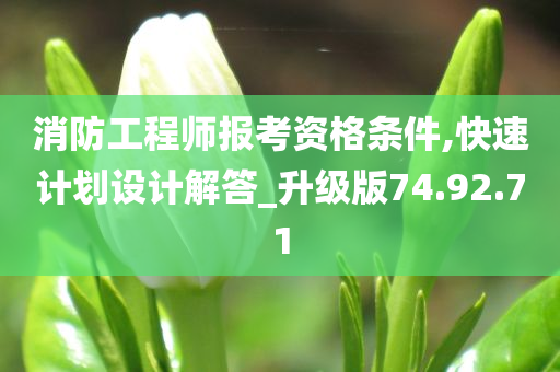 消防工程师报考资格条件,快速计划设计解答_升级版74.92.71