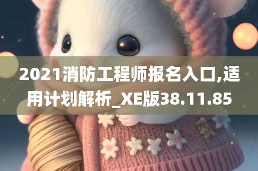 2021消防工程师报名入口,适用计划解析_XE版38.11.85