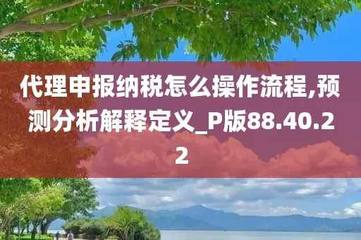 代理申报纳税怎么操作流程,预测分析解释定义_P版88.40.22