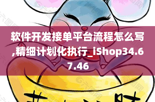 软件开发接单平台流程怎么写,精细计划化执行_iShop34.67.46