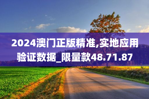 2024澳门正版精准,实地应用验证数据_限量款48.71.87