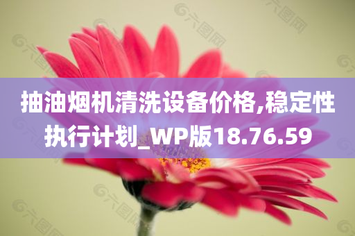 抽油烟机清洗设备价格,稳定性执行计划_WP版18.76.59