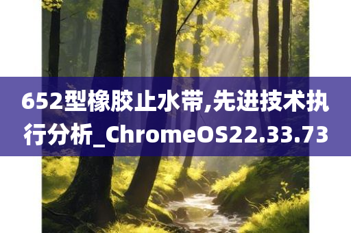 652型橡胶止水带,先进技术执行分析_ChromeOS22.33.73