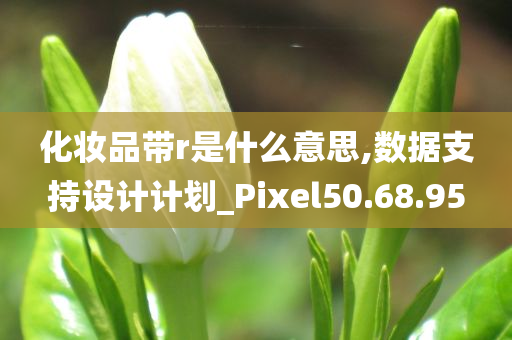 化妆品带r是什么意思,数据支持设计计划_Pixel50.68.95