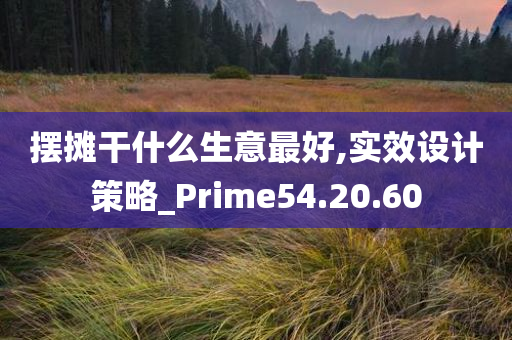 摆摊干什么生意最好,实效设计策略_Prime54.20.60