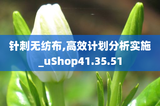 针刺无纺布,高效计划分析实施_uShop41.35.51