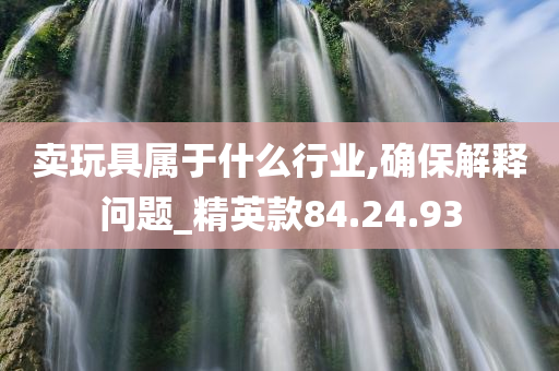 卖玩具属于什么行业,确保解释问题_精英款84.24.93