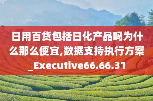 日用百货包括日化产品吗为什么那么便宜,数据支持执行方案_Executive66.66.31