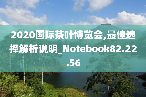 2020国际茶叶博览会,最佳选择解析说明_Notebook82.22.56