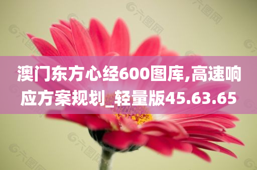 澳门东方心经600图库,高速响应方案规划_轻量版45.63.65