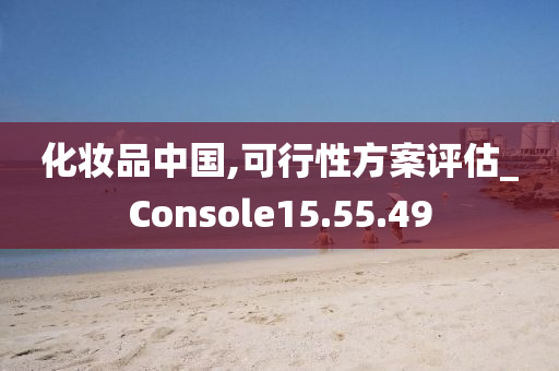 化妆品中国,可行性方案评估_Console15.55.49