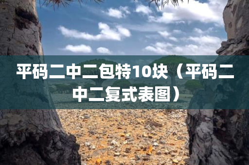 平码二中二包特10块（平码二中二复式表图）