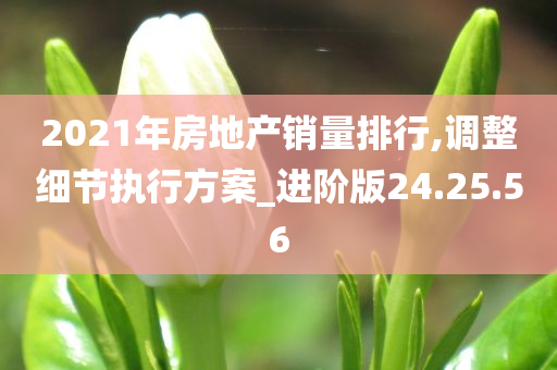 2021年房地产销量排行,调整细节执行方案_进阶版24.25.56