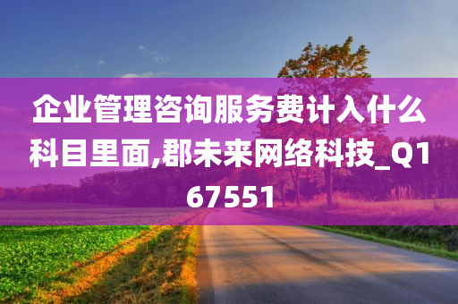 企业管理咨询服务费计入什么科目里面,郡未来网络科技_Q167551