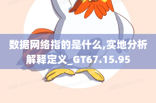 数据网络指的是什么,实地分析解释定义_GT67.15.95