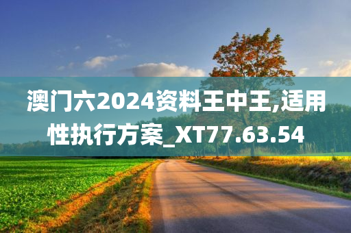 澳门六2024资料王中王,适用性执行方案_XT77.63.54