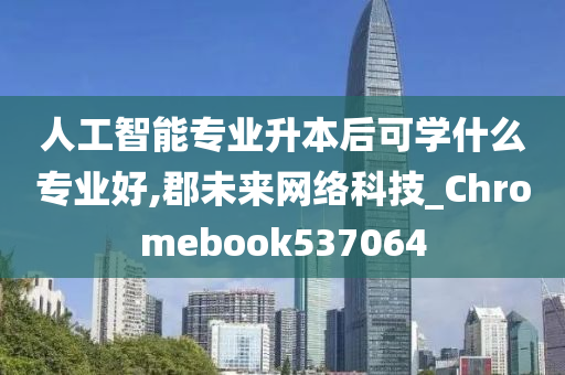 人工智能专业升本后可学什么专业好,郡未来网络科技_Chromebook537064