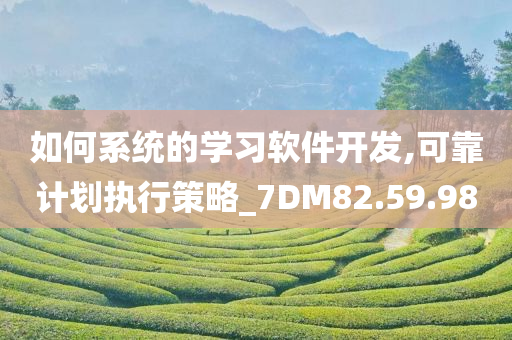 如何系统的学习软件开发,可靠计划执行策略_7DM82.59.98